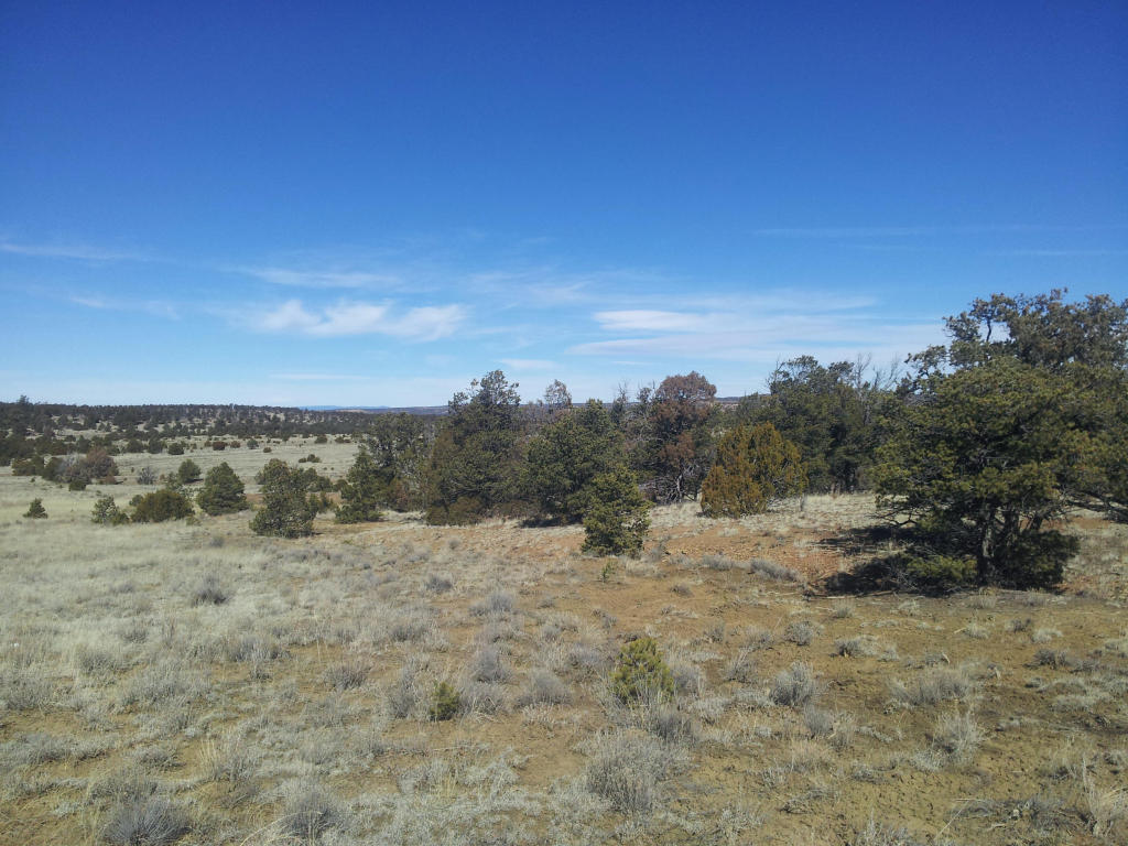 Wild Horse Ranch, Pie Town, NM 87827