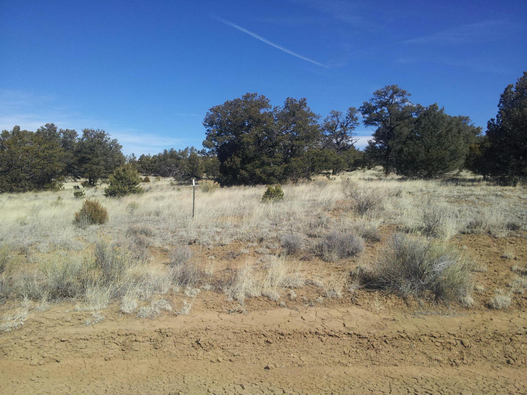 Wild Horse Ranch, Pie Town, NM 87827