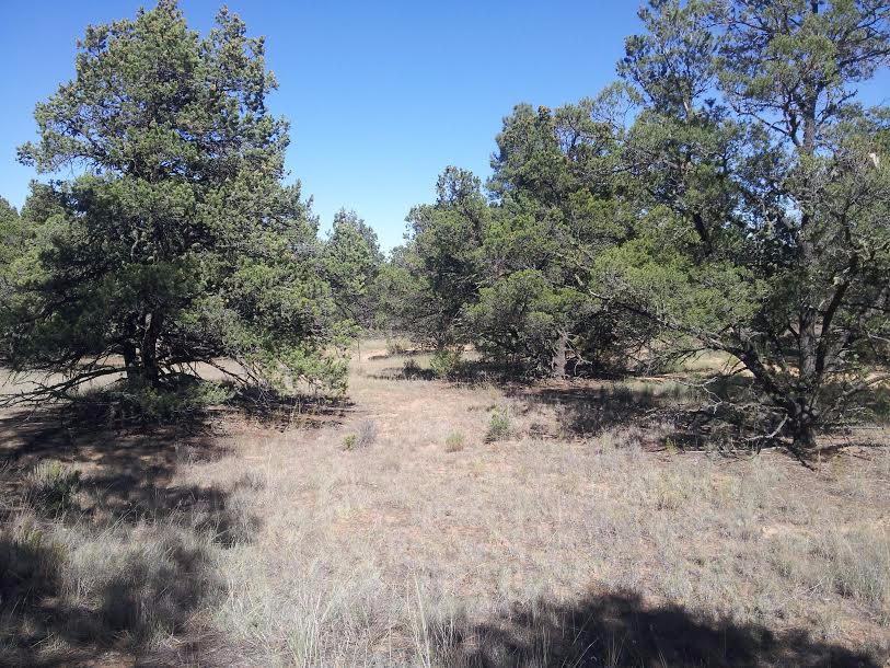 Wild Horse Ranch, Pie Town, NM 87827