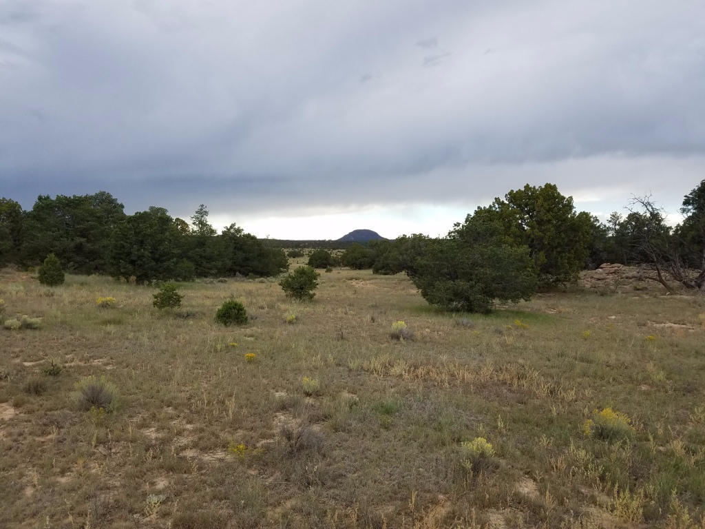Lot 106 Blue Hills Ranch, Pie Town, NM 87827