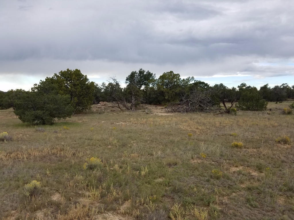 Lot 106 Blue Hills Ranch, Pie Town, NM 87827