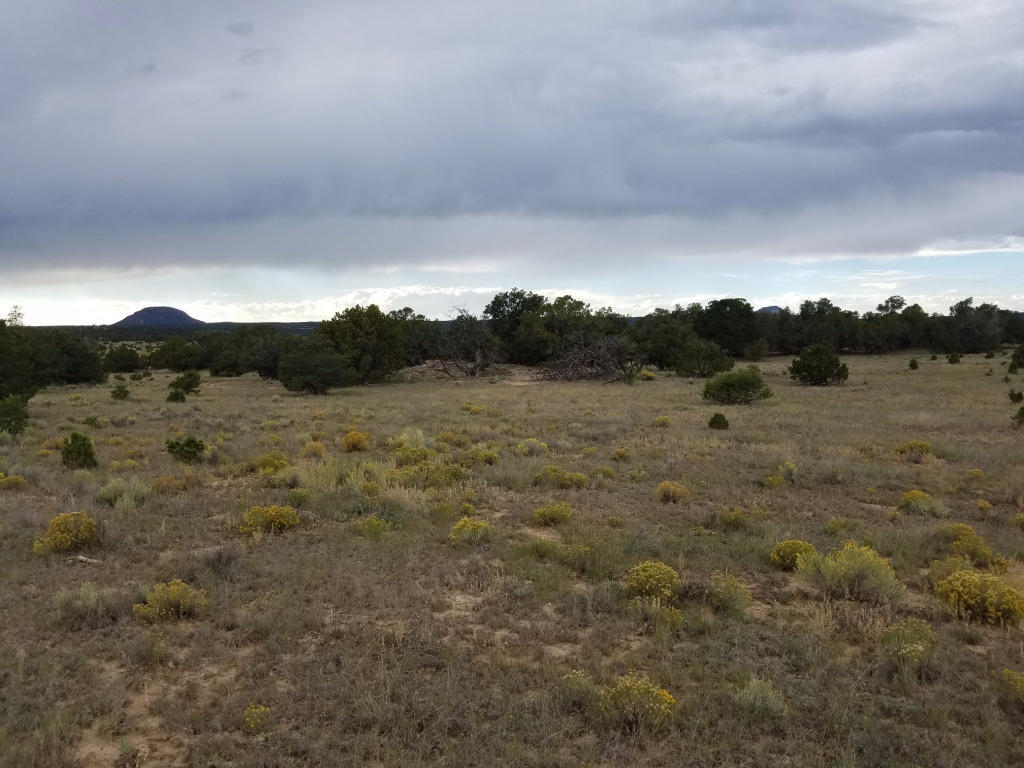 Lot 106 Blue Hills Ranch, Pie Town, NM 87827