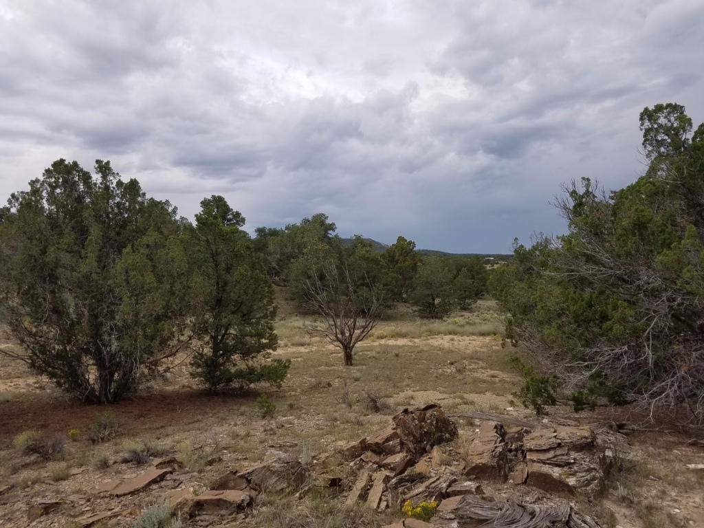 Lot 106 Blue Hills Ranch, Pie Town, NM 87827