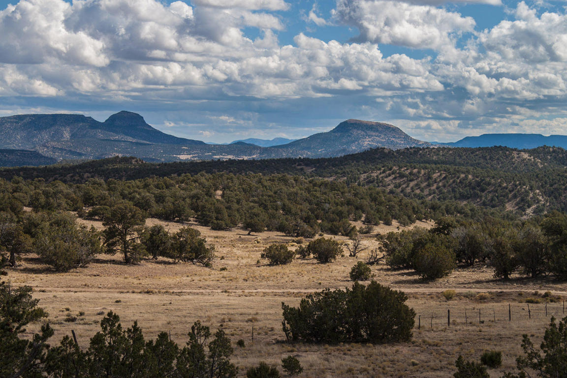 Wild Horse Ranch Unit 1 Lot 47, Pie Town, NM 87827