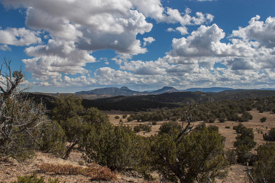 Wild Horse Ranch Unit 1 Lot 47, Pie Town, NM 87827