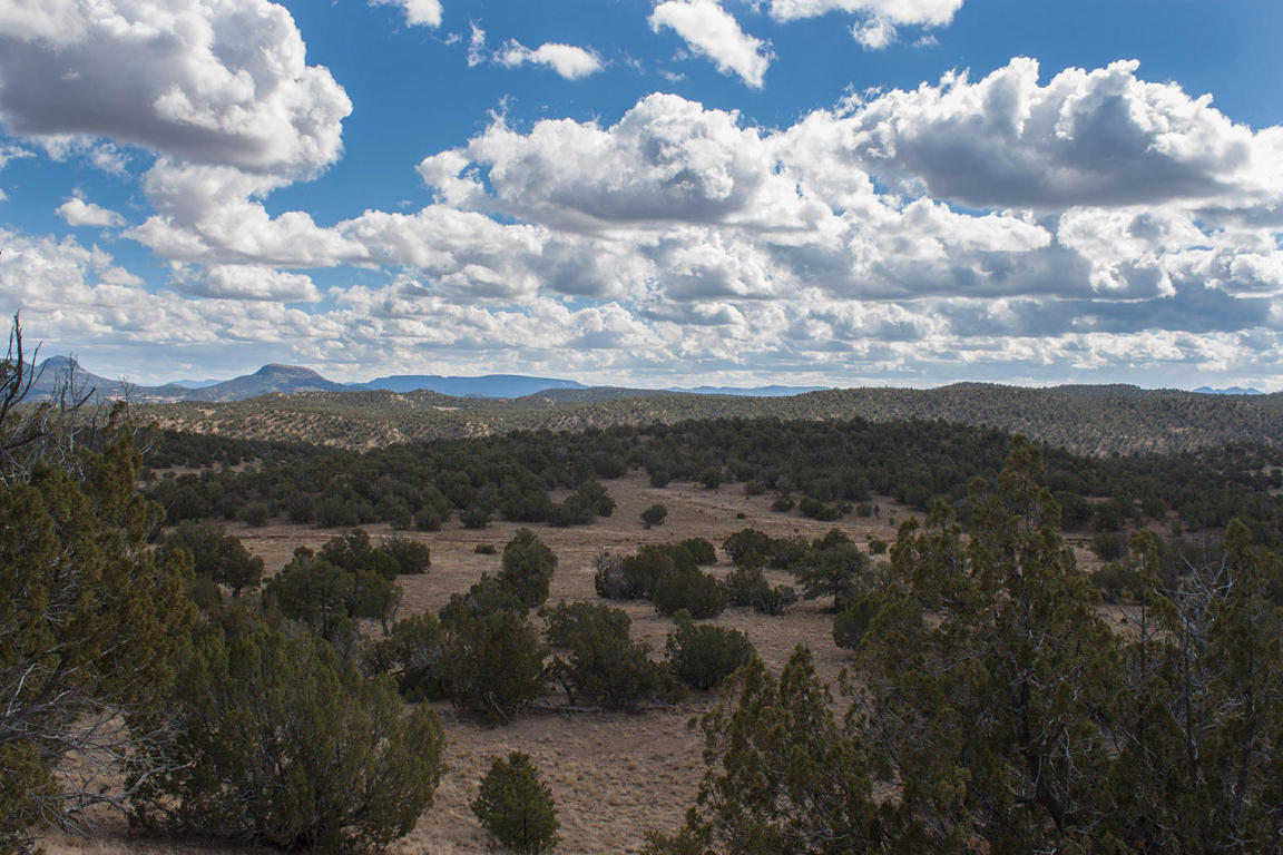 Wild Horse Ranch Unit 1 Lot 47, Pie Town, NM 87827