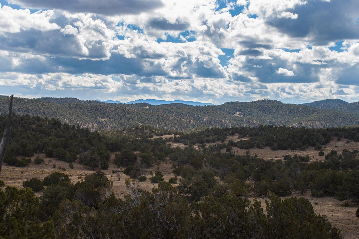 Wild Horse Ranch Unit 1 Lot 47, Pie Town, NM 87827