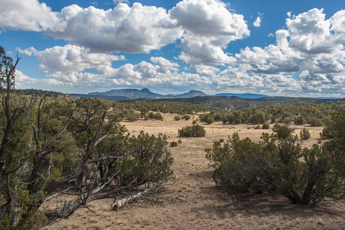 Wild Horse Ranch Unit 1 Lot 47, Pie Town, NM 87827