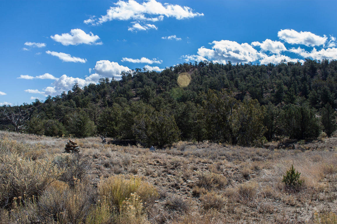 Wild Horse Ranch Unit 1 Lot 47, Pie Town, NM 87827