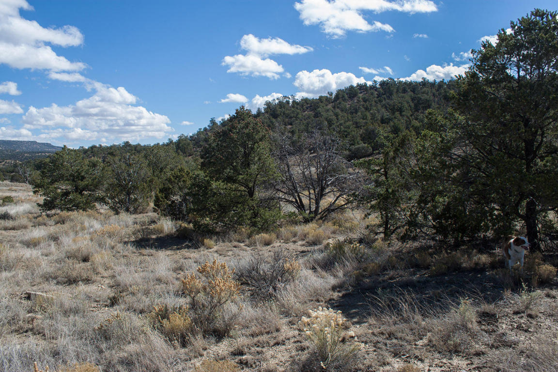 Wild Horse Ranch Unit 1 Lot 47, Pie Town, NM 87827