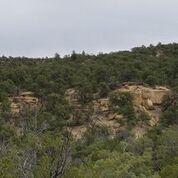 Wild Horse Ranch Unit 5 Lot 28, Pie Town, NM 87827