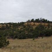 Wild Horse Ranch Unit 5 Lot 28, Pie Town, NM 87827