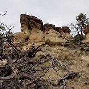 Wild Horse Ranch Unit 5 Lot 28, Pie Town, NM 87827