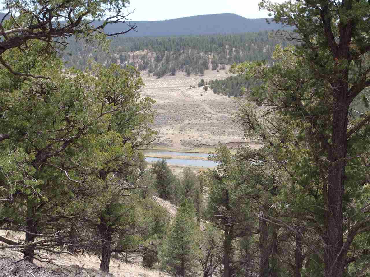 X-20 Sunrise, Quemado, NM 87829