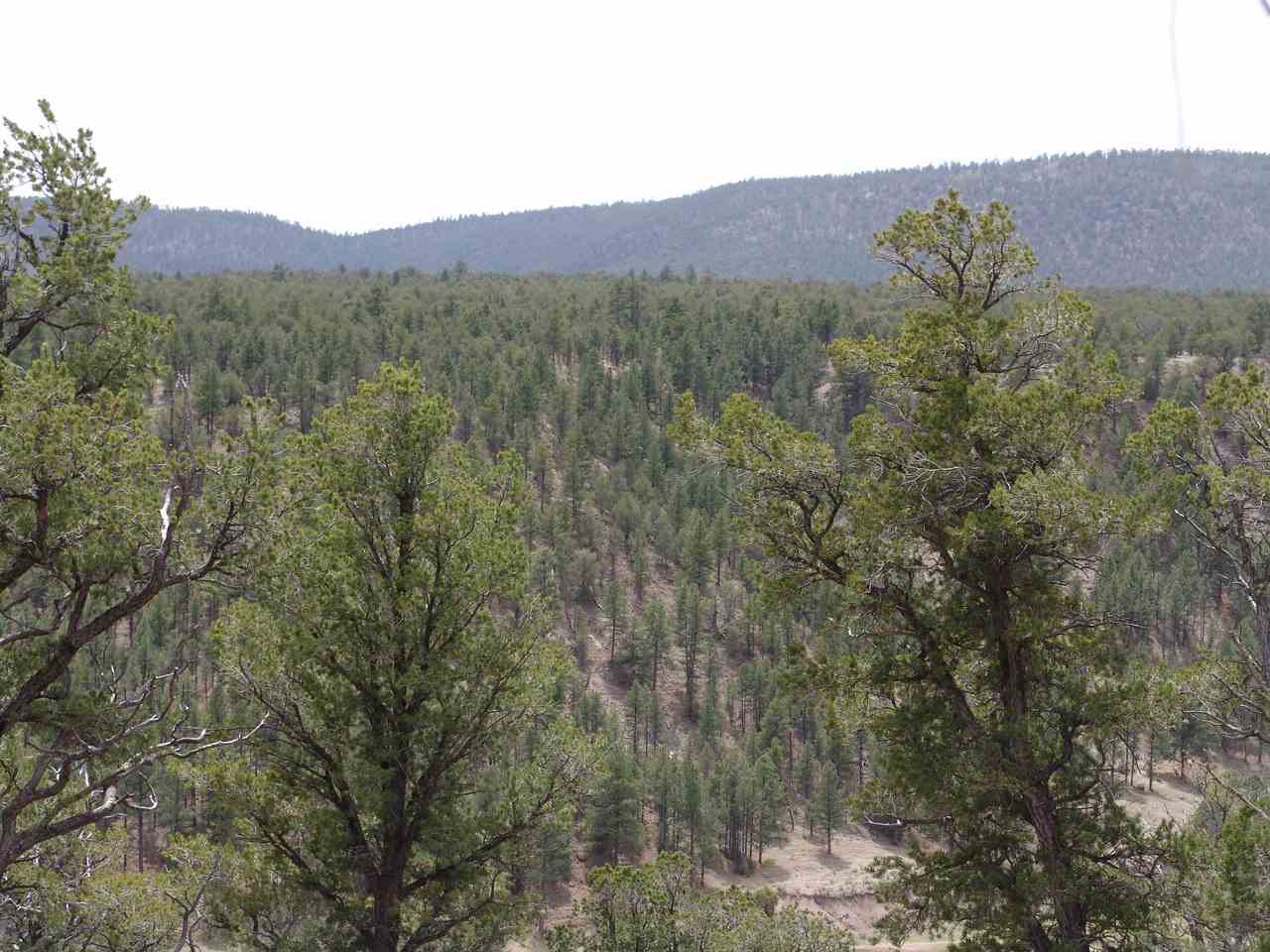 X-20 Sunrise, Quemado, NM 87829