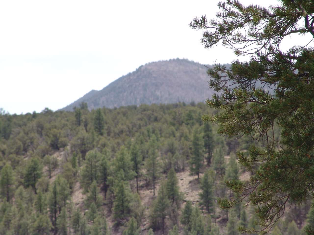 X-20 Sunrise, Quemado, NM 87829