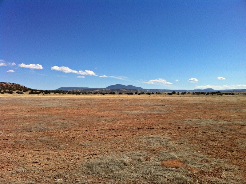 13 &amp; 15 Largo Creek, Quemado, NM 87829