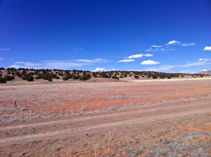 13 & 15 Largo Creek, Quemado, NM 87829