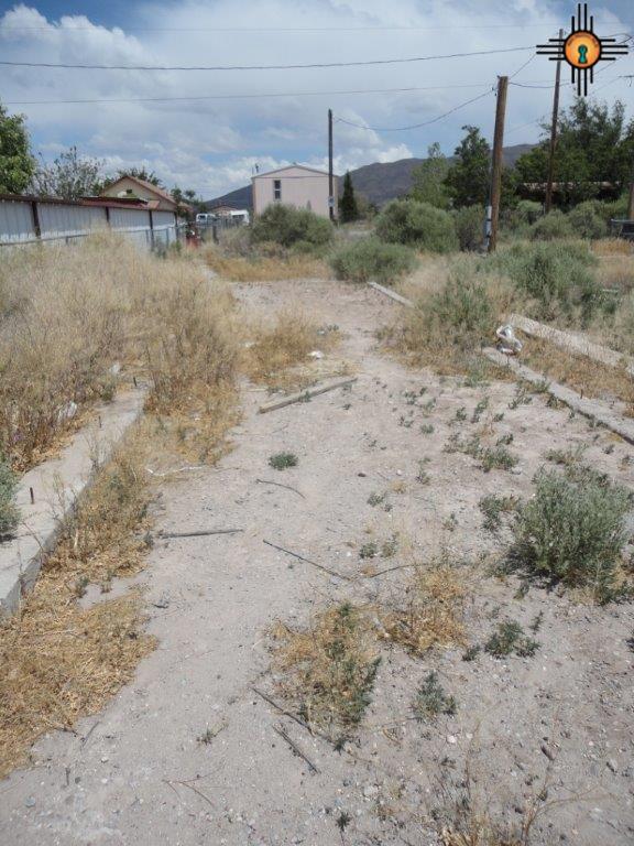1404 Ore, Truth Or Consequences, NM 87901