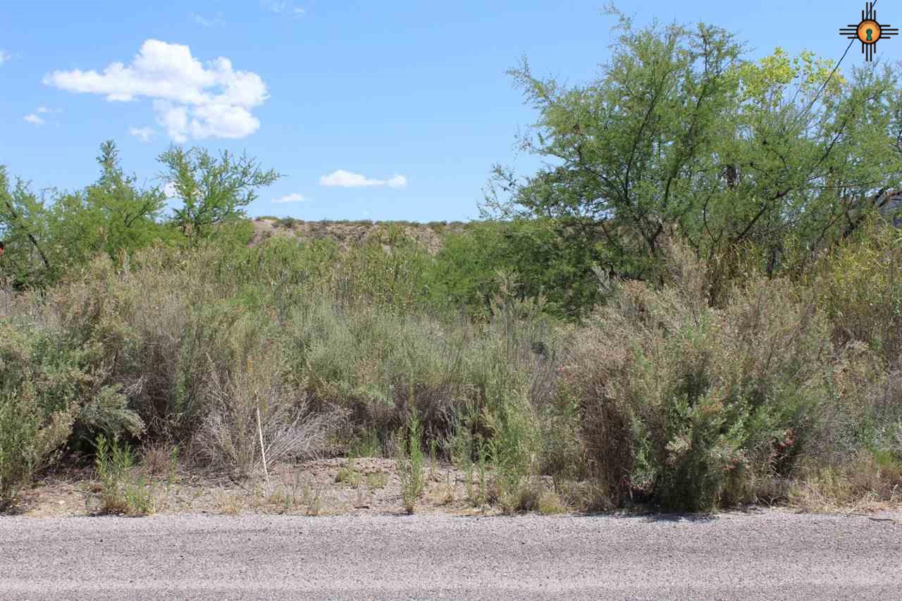 504 Gray, Truth Or Consequences, NM 87901