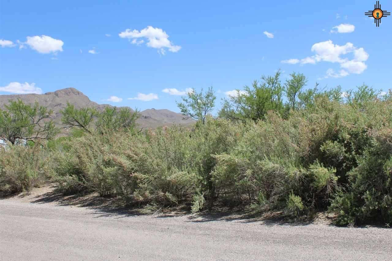 504 Gray, Truth Or Consequences, NM 87901