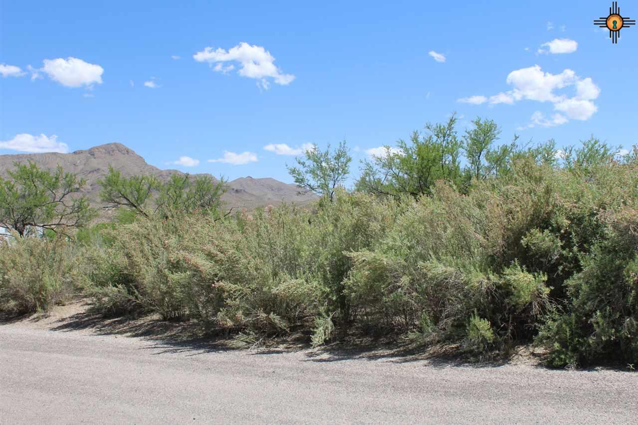512 Gray, Truth Or Consequences, NM 87901
