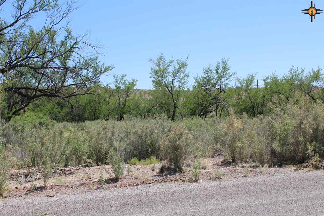 512 Gray, Truth Or Consequences, NM 87901
