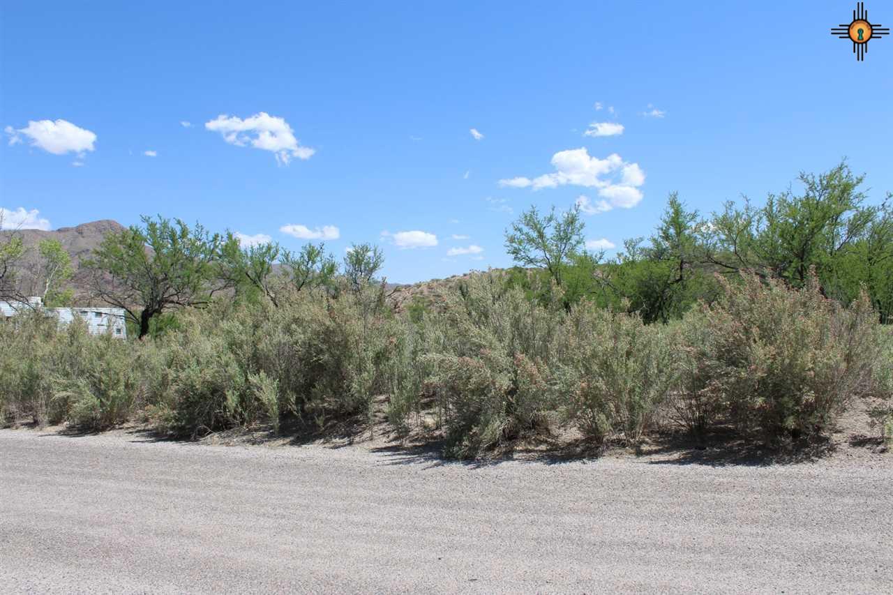 512 Gray, Truth Or Consequences, NM 87901