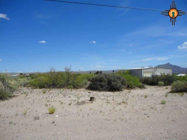 LOT 12 WARM SPRINGS BLVD, Elephant Butte, NM 87935
