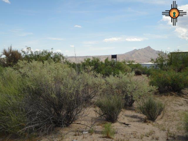 LOT 12 WARM SPRINGS BLVD, Elephant Butte, NM 87935