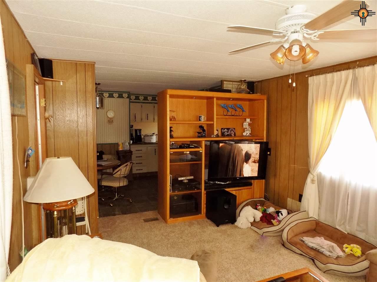 322 MESCAL, Elephant Butte, NM 87935