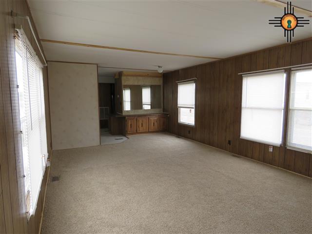 24 Paloma Blanca Rd, Williamsburg, NM 87942