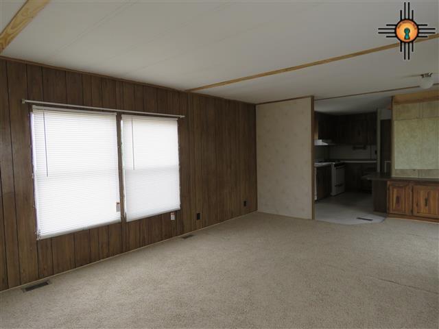24 Paloma Blanca Rd, Williamsburg, NM 87942