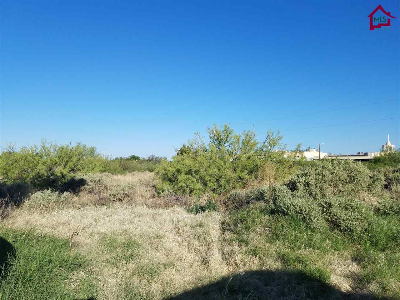 TBDPAROQUIA STREET, Las Cruces, NM 88001