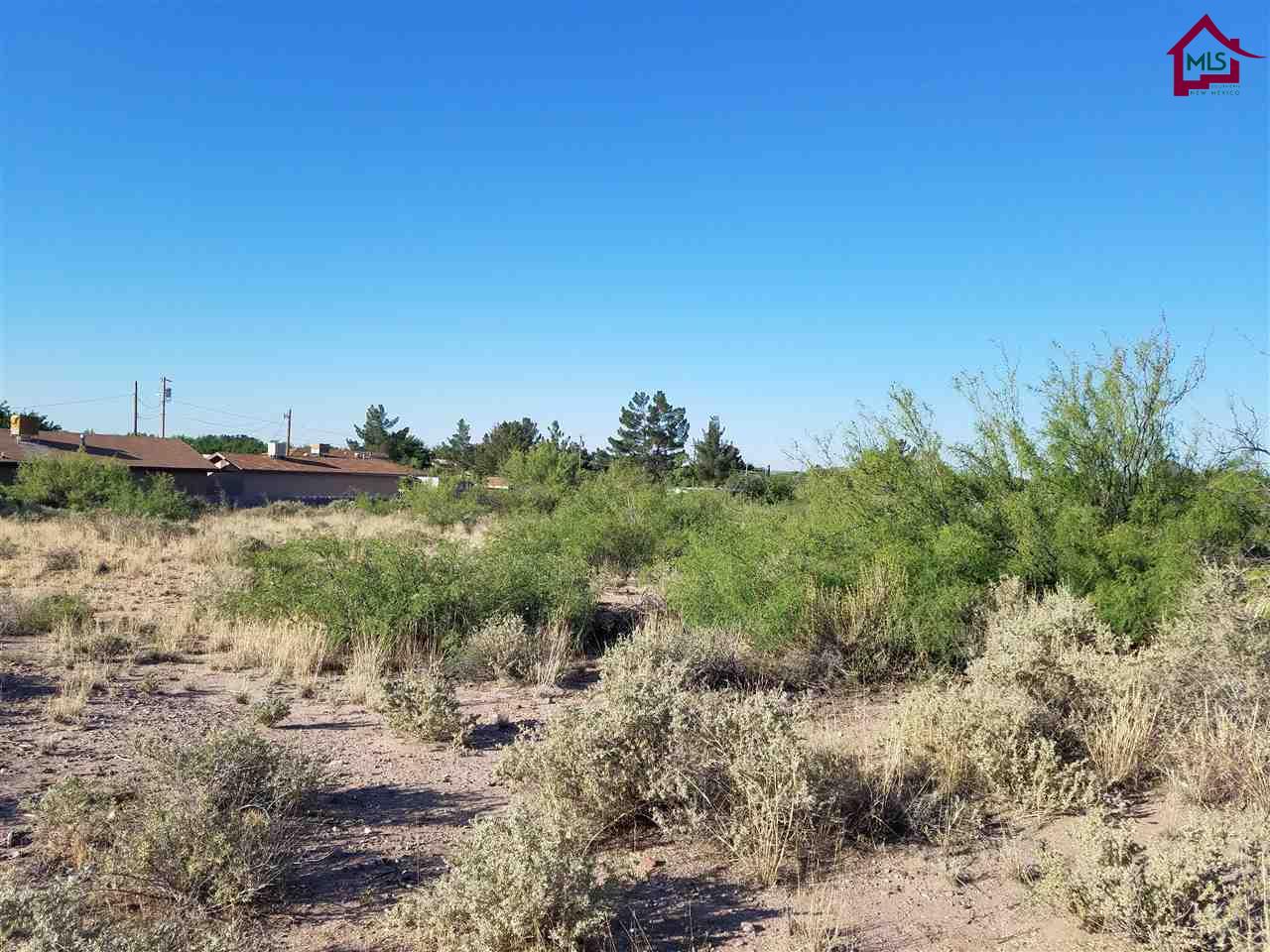 TBDPAROQUIA STREET, Las Cruces, NM 88001