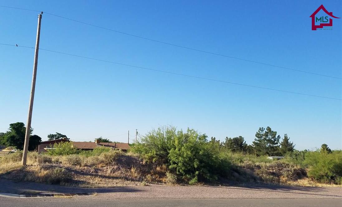 TBDPAROQUIA STREET, Las Cruces, NM 88001