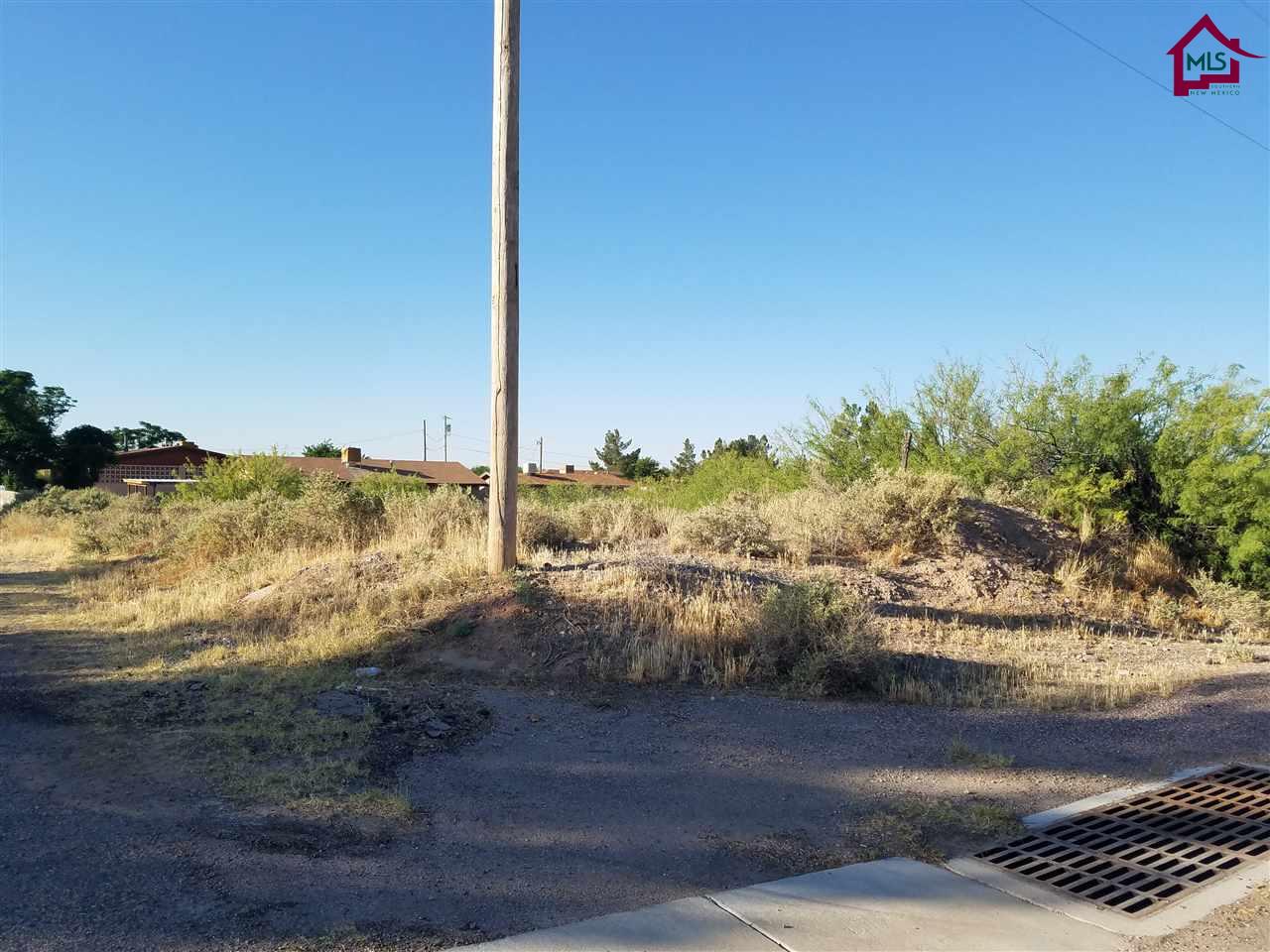 TBDPAROQUIA STREET, Las Cruces, NM 88001