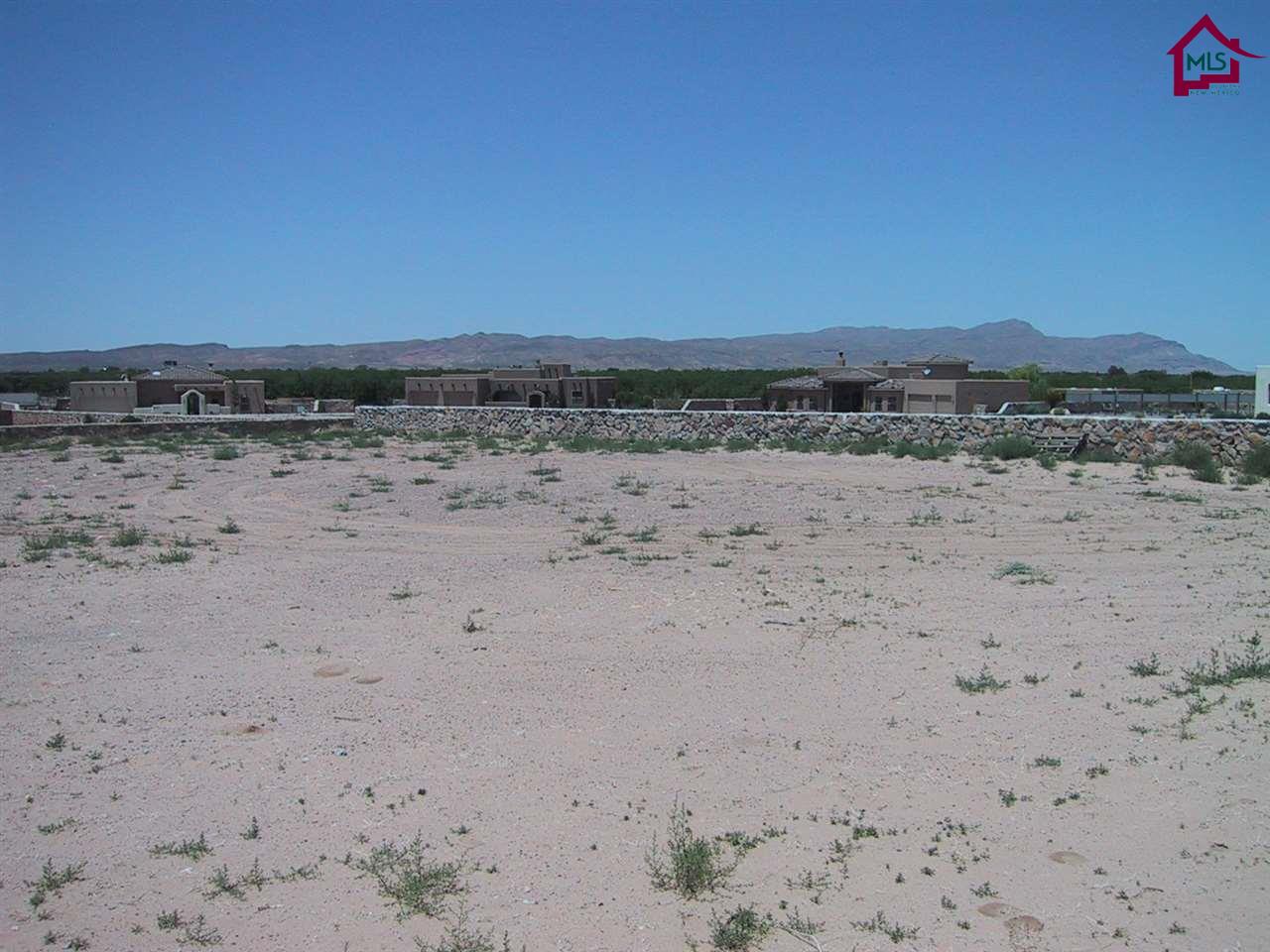 4102SITKA DEER STREET, Las Cruces, NM 88007