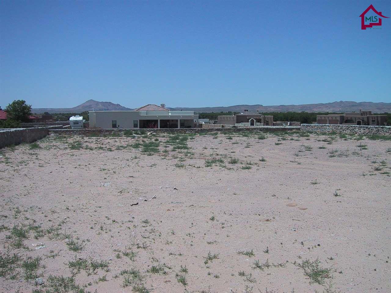 4102SITKA DEER STREET, Las Cruces, NM 88007