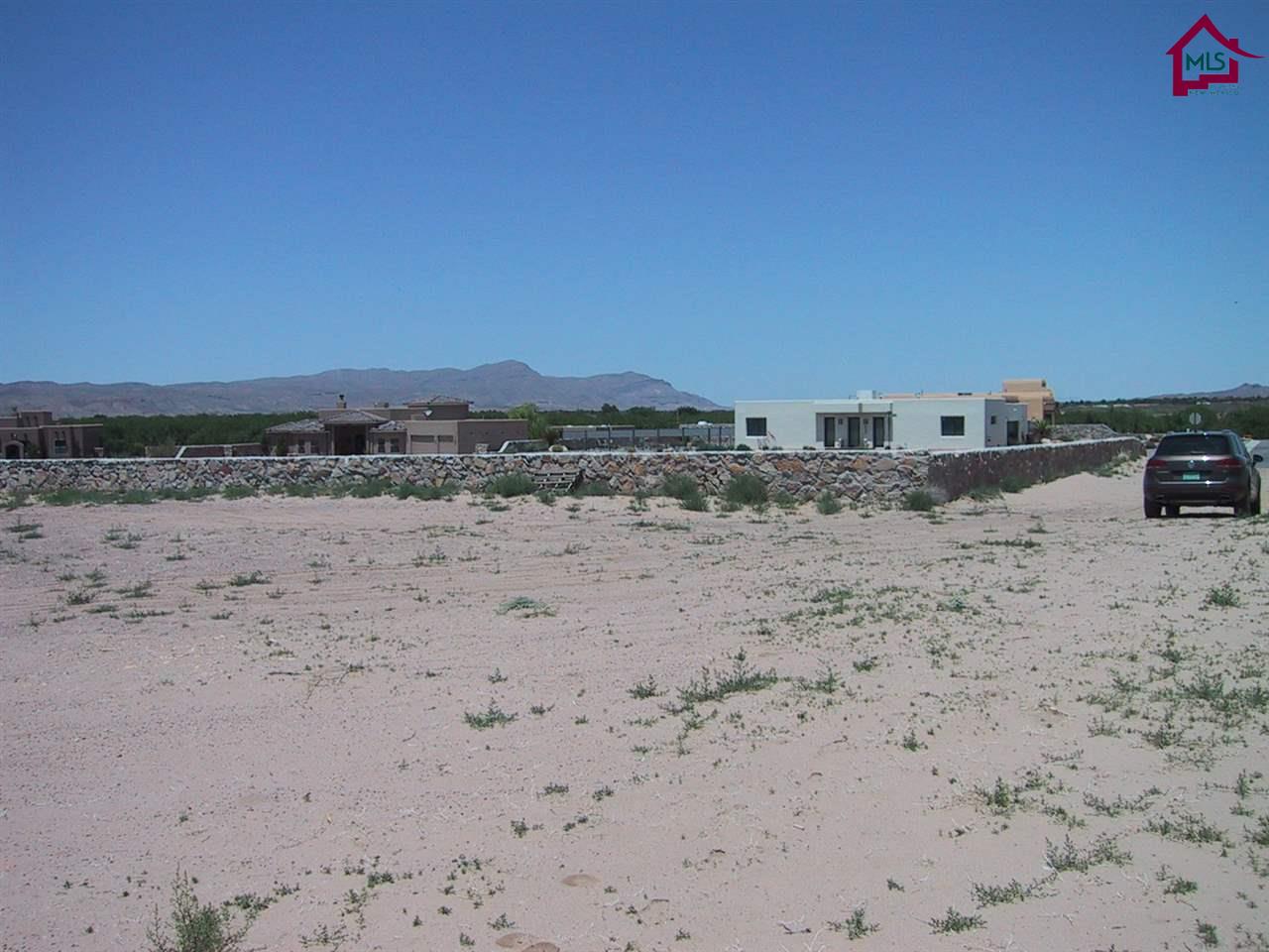 4102SITKA DEER STREET, Las Cruces, NM 88007