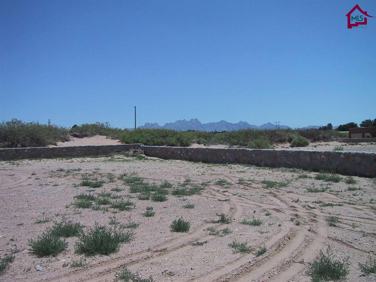 4102SITKA DEER STREET, Las Cruces, NM 88007