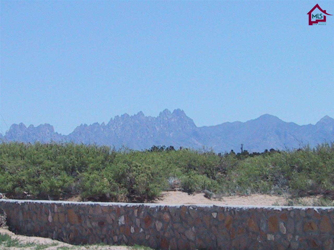 4102SITKA DEER STREET, Las Cruces, NM 88007