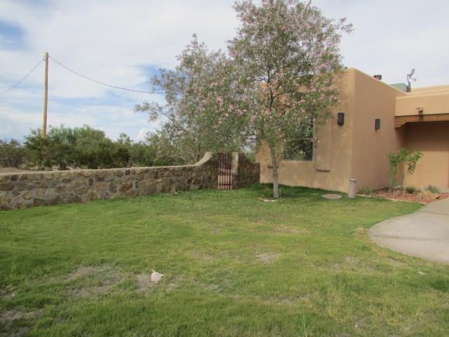 195 Alluvial Lane, Anthony, NM 88021