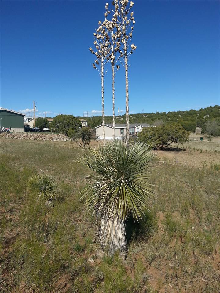 Lot 47 Manhattan Park, Santa Clara, NM 88026