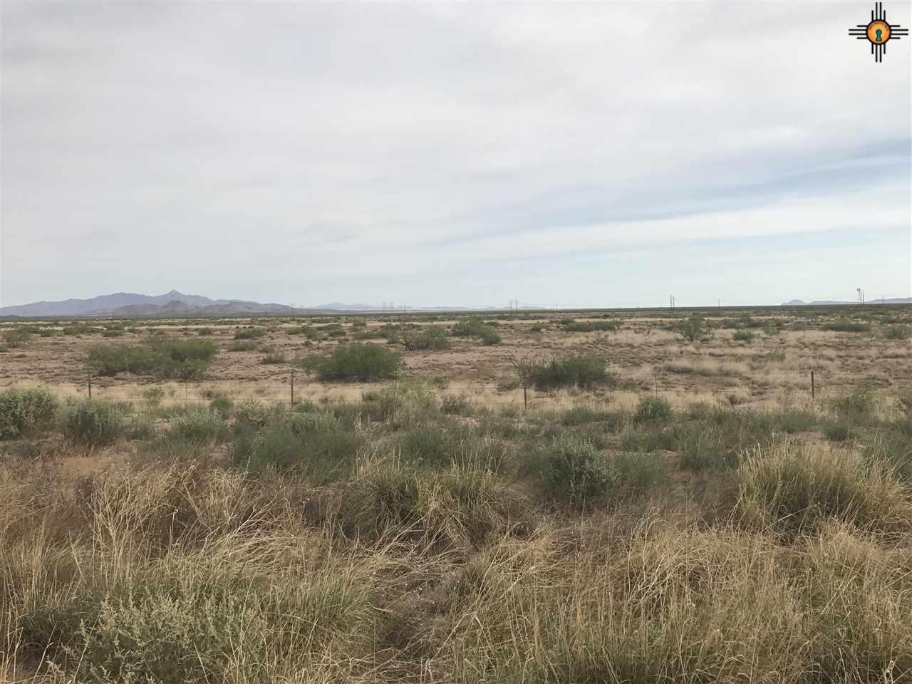 0000 Chapulin Rd NE, Deming, NM 88030