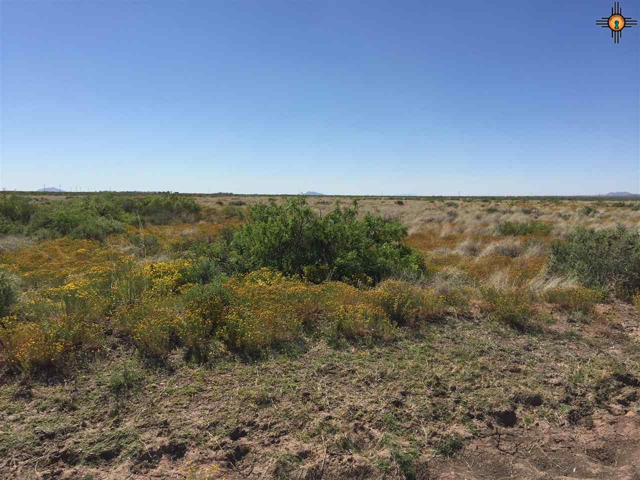 XXXX Leon RD SE, Deming, NM 88030