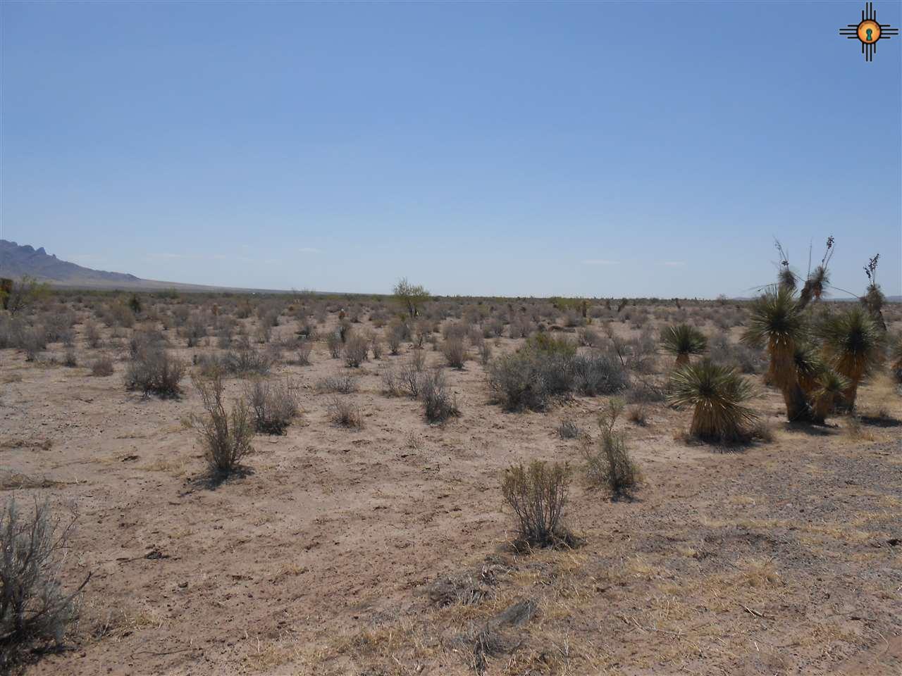 00 Camote Rd. S.W., Deming, NM 88030