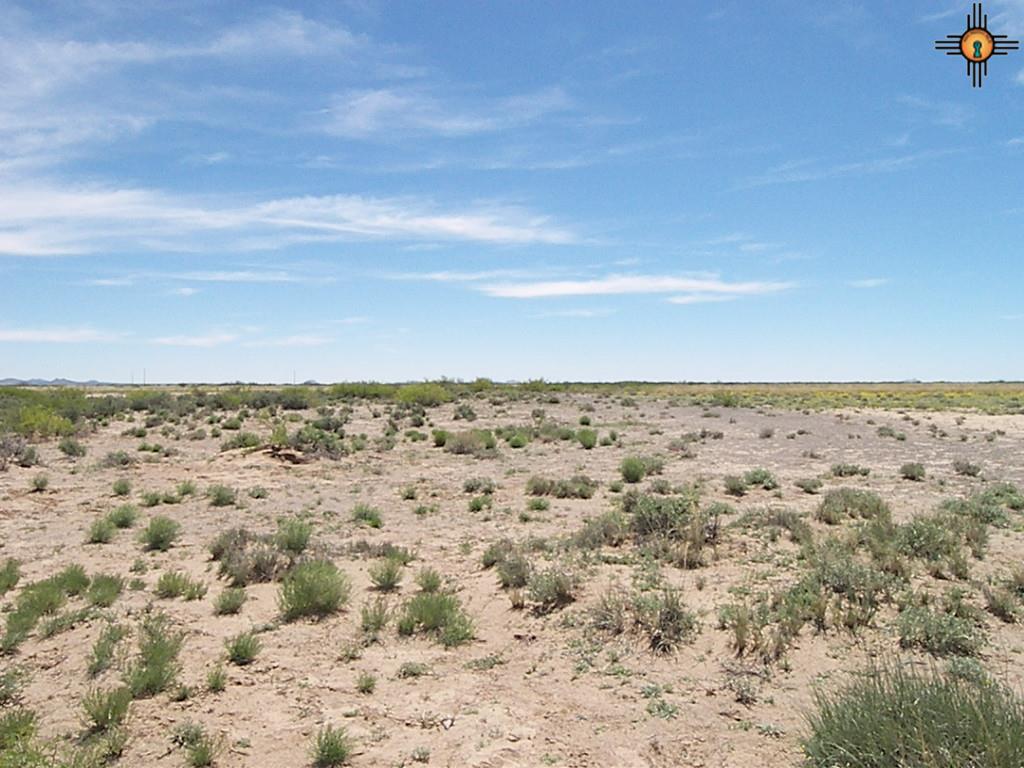 SVR Unit 13 Bk 17 Lots 15,16, Deming, NM 88030