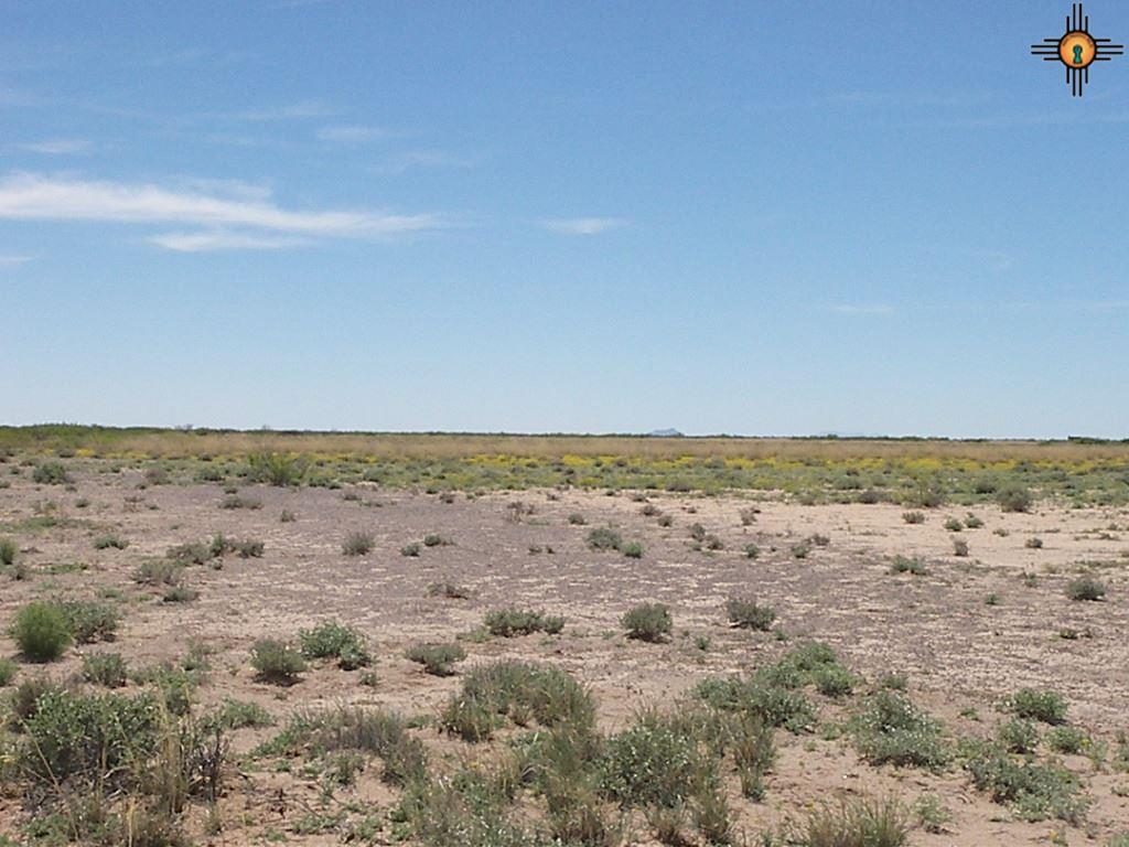 SVR Unit 13 Bk 17 Lots 15,16, Deming, NM 88030