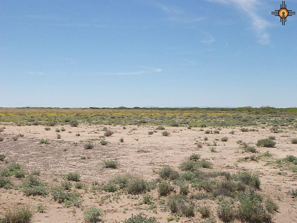 SVR Unit 13 Bk 17 Lots 15,16, Deming, NM 88030